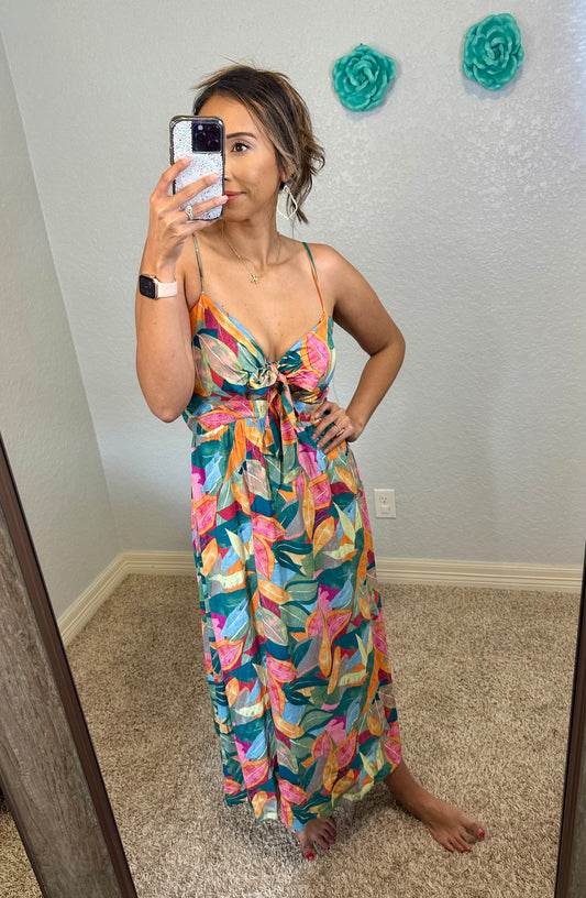 Vacation of a Lifetime Dress